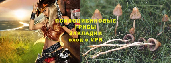 прущий лед Алексин