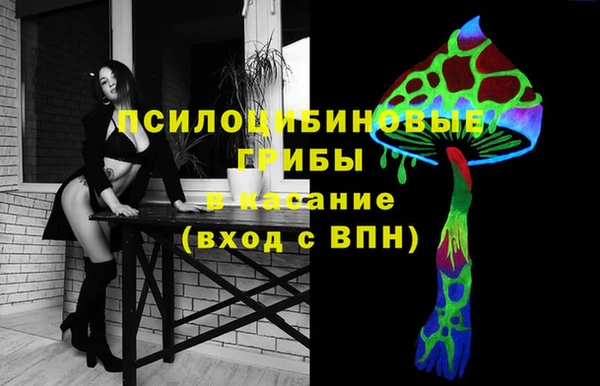 прущий лед Алексин