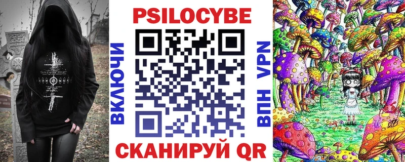 Псилоцибиновые грибы Psilocybe  MEGA ССЫЛКА  Курчалой  закладки 